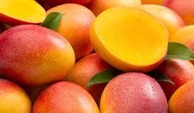 Expo Mango 2023 de Bani mostrará el paraíso frutal existente en República Dominicana
