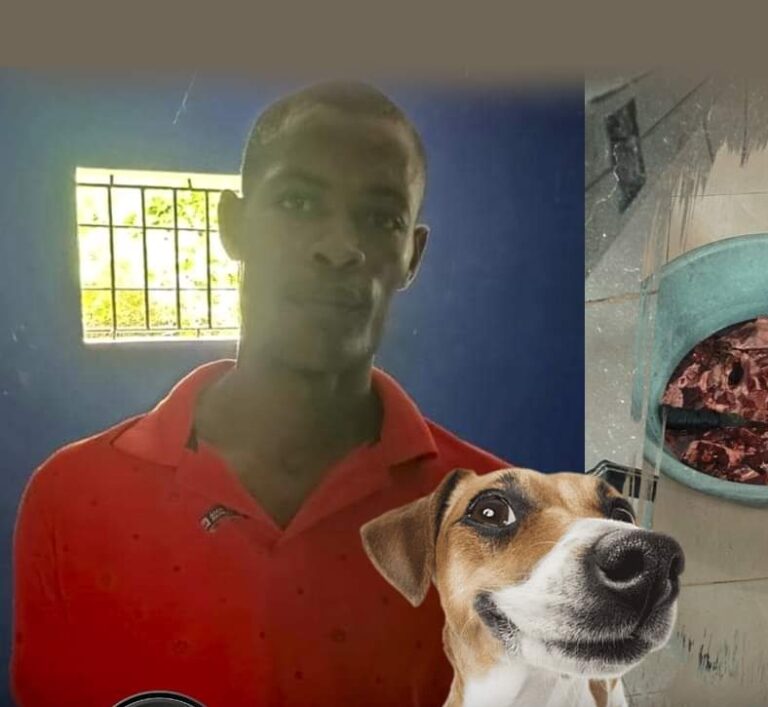 Detienen en La Ceiba de Higüey a hatiano por descuartizar perros cuya carne supuestamente era para alimentar a una tortuga