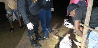 Tiroteo por disputa de drogas deja cinco muertos y dos heridos en Loma de Cabrera, Dajabón