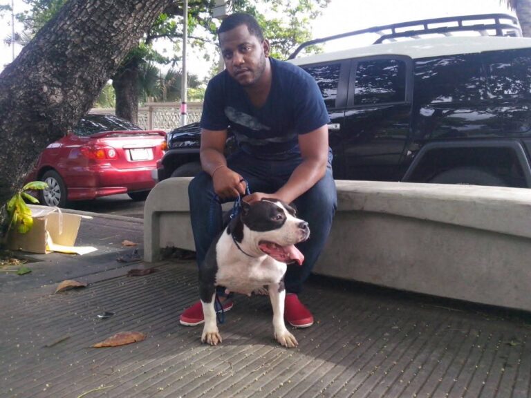 Asesinan dominicano a tiros dentro de su vehículo en Puerto Rico