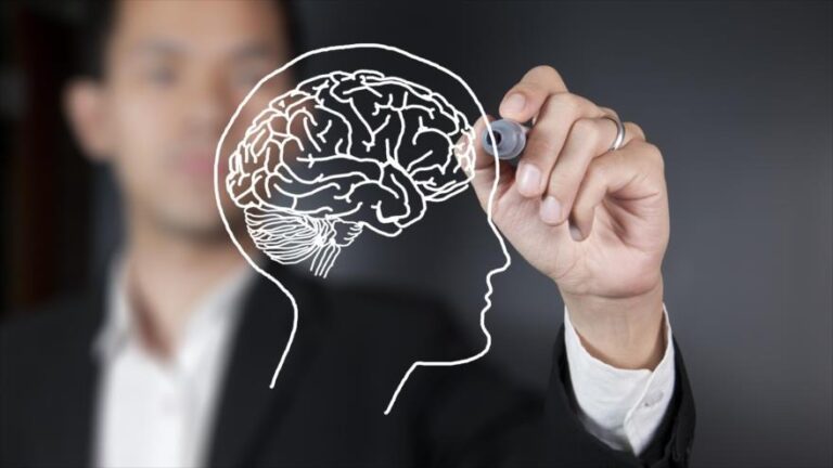 Cerebro: ¿Por qué nos equivocamos tanto?