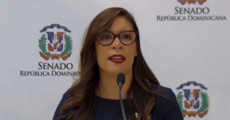 María Estela de León Veloz es designada nueva suplente del miembro titular de la JCE, Samir Chami Isa