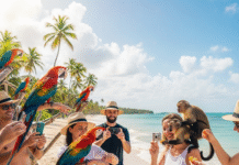 Medio Ambiente prohíbe exhibición de animales silvestres y exóticos en playas, ríos y espacios públicos en RD