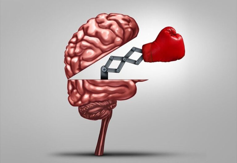 En las interioridades del cerebro agresor