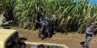 Policía recupera vehículo robado con 14 chivos en su interior en Quisqueya