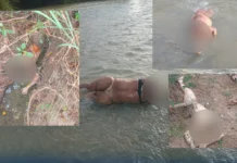 Mujeres haitianas halladas decapitadas en la frontera habían sido deportadas de Puerto Rico