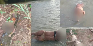 Mujeres haitianas halladas decapitadas en la frontera habían sido deportadas de Puerto Rico