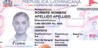Diáspora dominicana podrá gestionar la nueva licencia en 10 ciudades del exterior
