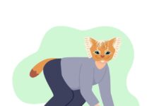 Un día en la vida de un therian