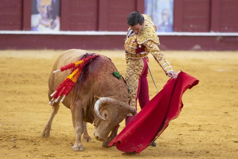 Luto en España: muere extorero tras brutal embestida en plaza de toros en Viernes Santo
