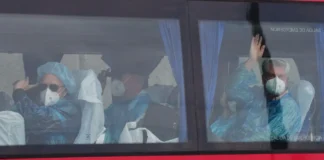 Tres neoyorquinos son puestos en cuarentena tras brote de hantavirus en crucero