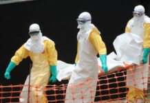 La OMS declara emergencia internacional por brote de ébola en África tras más de 80 muertes