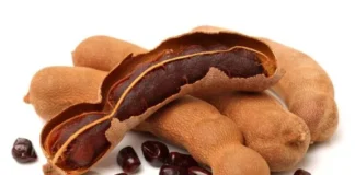 Beneficios del tamarindo