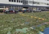 DNCD desmantela plantación con más de 3,000 matas de marihuana en las lomas de Ocoa y arresta a tres personas