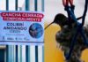 Chile cierra una cancha por 60 días para proteger el nido de un colibrí