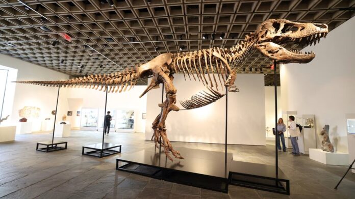 gus tiranosaurio rex