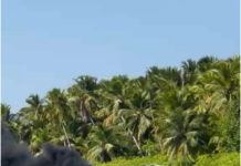 Embarcación se incendia frente a isla Saona y deja más de 20 personas heridas