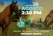 “Sangre y Tierra” llega gratis a Este Festival en Higüey