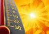Ola de calor golpea duramente a Europa : Más de 28,000 muertes estimadas en Alemania, Francia, España e Inglaterra este verano 2026