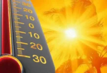 Ola de calor golpea duramente a Europa : Más de 28,000 muertes estimadas en Alemania, Francia, España e Inglaterra este verano 2026