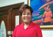 Presidente Abinader designa a Josefa Castillo como nueva cónsul general en Miami