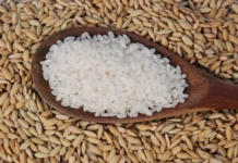 Medidas anunciadas por el Gobierno dominicano para proteger la producción nacional de arroz