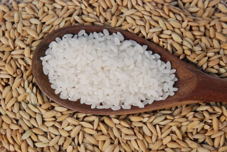 Medidas anunciadas por el Gobierno dominicano para proteger la producción nacional de arroz