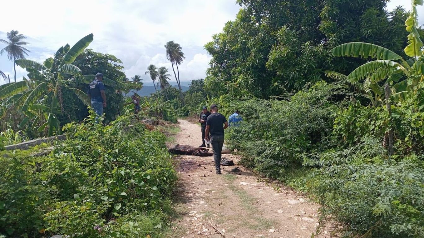 Matan de un disparo en la cabeza a «El Burro» y a su caballo sorprendido presuntamente robando plátanos en Barahona